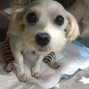 예뻐지개 이미지