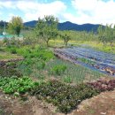 치산농장 이미지