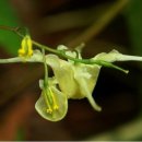 삼지목장 이미지