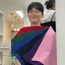낱낱이 봄;내_일적 | 대구 퍼스널컬러 진단 | 뷰티움 내돈내산 솔직후기 | 봄웜라이트 &amp; 겨울딥브라이트 커플 진단 후기