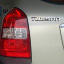 포니카센타 이미지