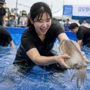 서천 건지산성 | 서천 가볼만한곳｜2026 장항항 꼴갑축제 먹거리 체험 주변여행지 총정리
