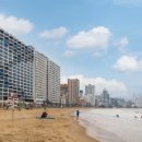 위더스오션 이미지