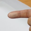 엔케이21 이미지