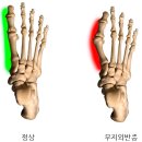 다사랑연합의원 이미지