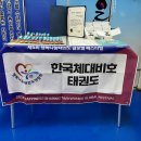 한국체대비호태권도 네이버블로그