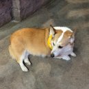 헬로우 주어 | 울산아이와가볼만한곳 헬로우쥬 실내 동물원 먹이주기 체험 후기