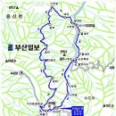 대구현암산악회 7월20일 셋째주 토요산행 - 수도산(단지봉) 인현왕후 길 이미지