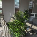 선산중앙로-12 이미지