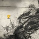 까까머리헤어