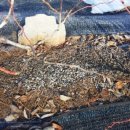 막골농장 이미지