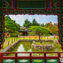 산나물농장펜션 이미지