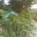 호선농장 이미지