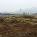 위드 태양광발전소 이미지