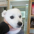 별난동물병원 이미지