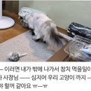 참치가게 - 광주시 파발로 210-1 | 참치가게