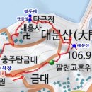 탄금대로 R Daum카페