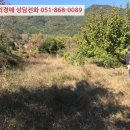 진전면927 이미지