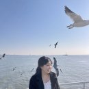 애바다 농장 이미지