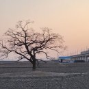 대포리경로당 네이버블로그