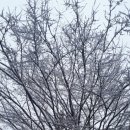 석남3동행정복지센터 이미지