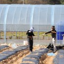 형래농장 이미지