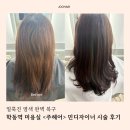서울인테리어(주) | 서울 학동역 염색시술 맛집 <주헤어> 민디자이너 시술 후기