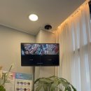 까까줄개 이미지