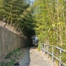 궁촌의 아침 민박 이미지