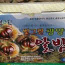 (주)알로젠 이미지