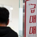 경매저널