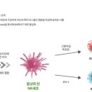 J1633 이미지