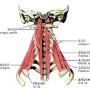 한마음정안한의원 이미지