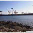 광양항 국제여객선터미널 이미지