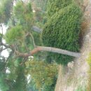 지평선공인중개사사무소 이미지