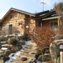 돌배나무 세그루 이미지