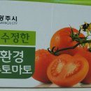 친환경 토마토 이미지