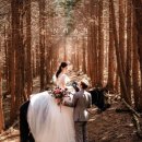 기영목장 | 결혼준비1. 제주 스냅 예약 (노아스냅)