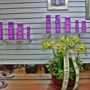 천연머리염색 이미지