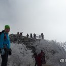 경화허브