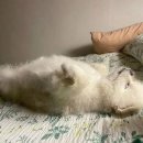 하루산책 이미지