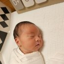 샤론산후조리원 | [출산기록] 연필이와 함께하는 조리원천국👼(샤론산후조리원 1주차)