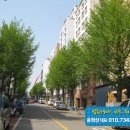 주안중로 이미지