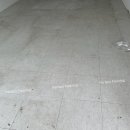 도그레온 이미지