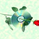 Island In The Stream / Kenny Rogers &amp; Dolly Parton 이미지