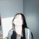 바카이빙 이미지