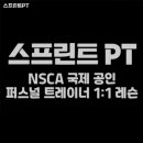 스프린트 PT 이미지