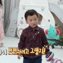 마라하오 이미지