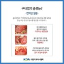 타이거치과의원 네이버블로그
