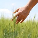 풀과꽃이야기 이미지